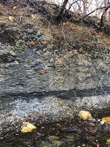 $299,000 | 16018 Baxter Road, Excelsior Springs, MO 64024