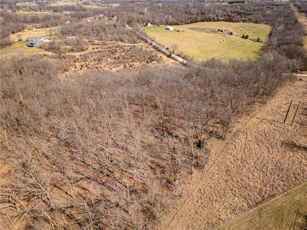 16018 Baxter Road Excelsior Springs, MO 64024 - Photo 9 of 17