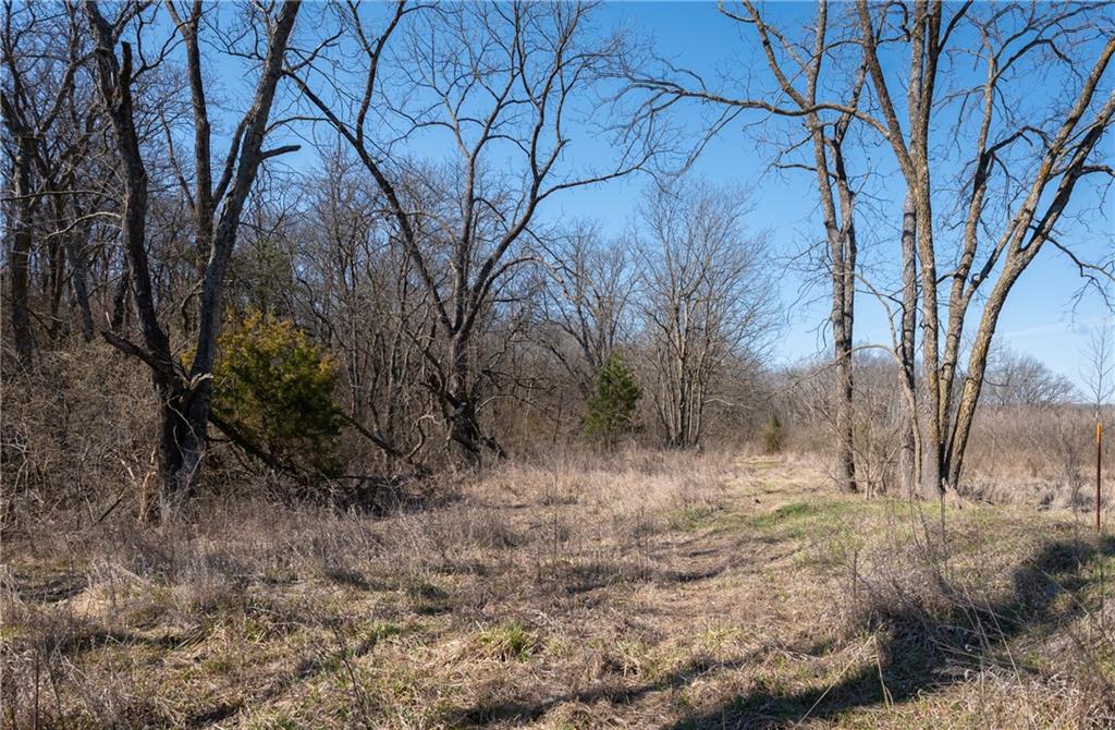 16018 Baxter Road Excelsior Springs, MO 64024 - Photo 10 of 17