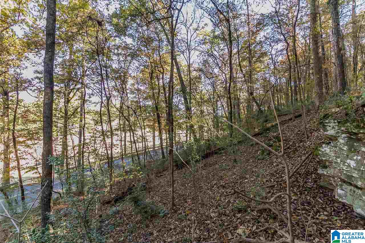 3385 Overbrook Road, Unit 109 Birmingham, AL 35213 - Photo 21 of 36