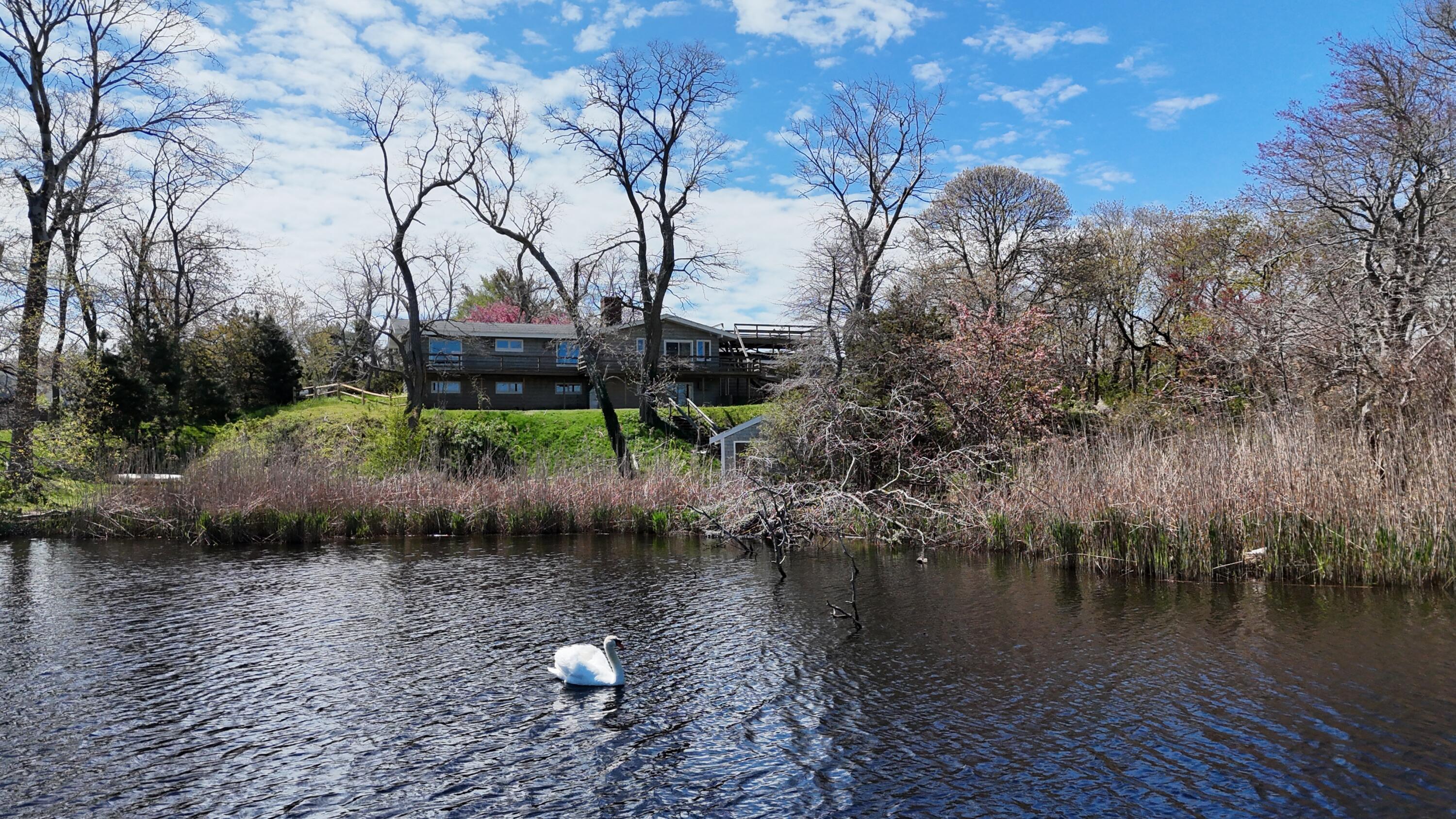 56 Locust Road Orleans, MA 02653 - Photo 88 of 90 DJI_20260508104720_0299_D ()