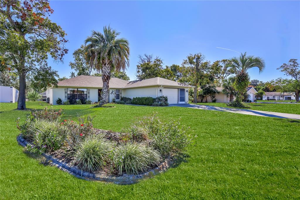 11249 Riddle Drive Spring Hill, FL 34609 - Photo 4 of 43 a view of a house with a big yard and palm trees