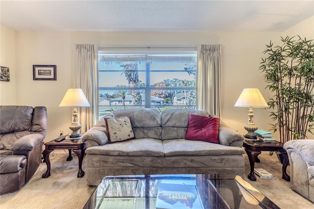 11249 Riddle Drive Spring Hill, FL 34609 - Photo 9 of 43 a living room with furniture and a window