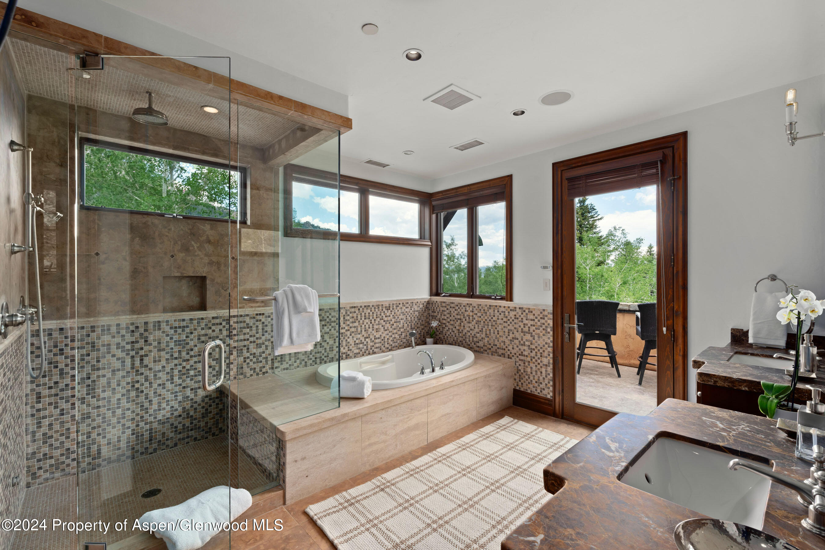 189 McSkimming Road Aspen, CO 81611 - Photo 13 of 37 Primary Bathroom with Steam Shower