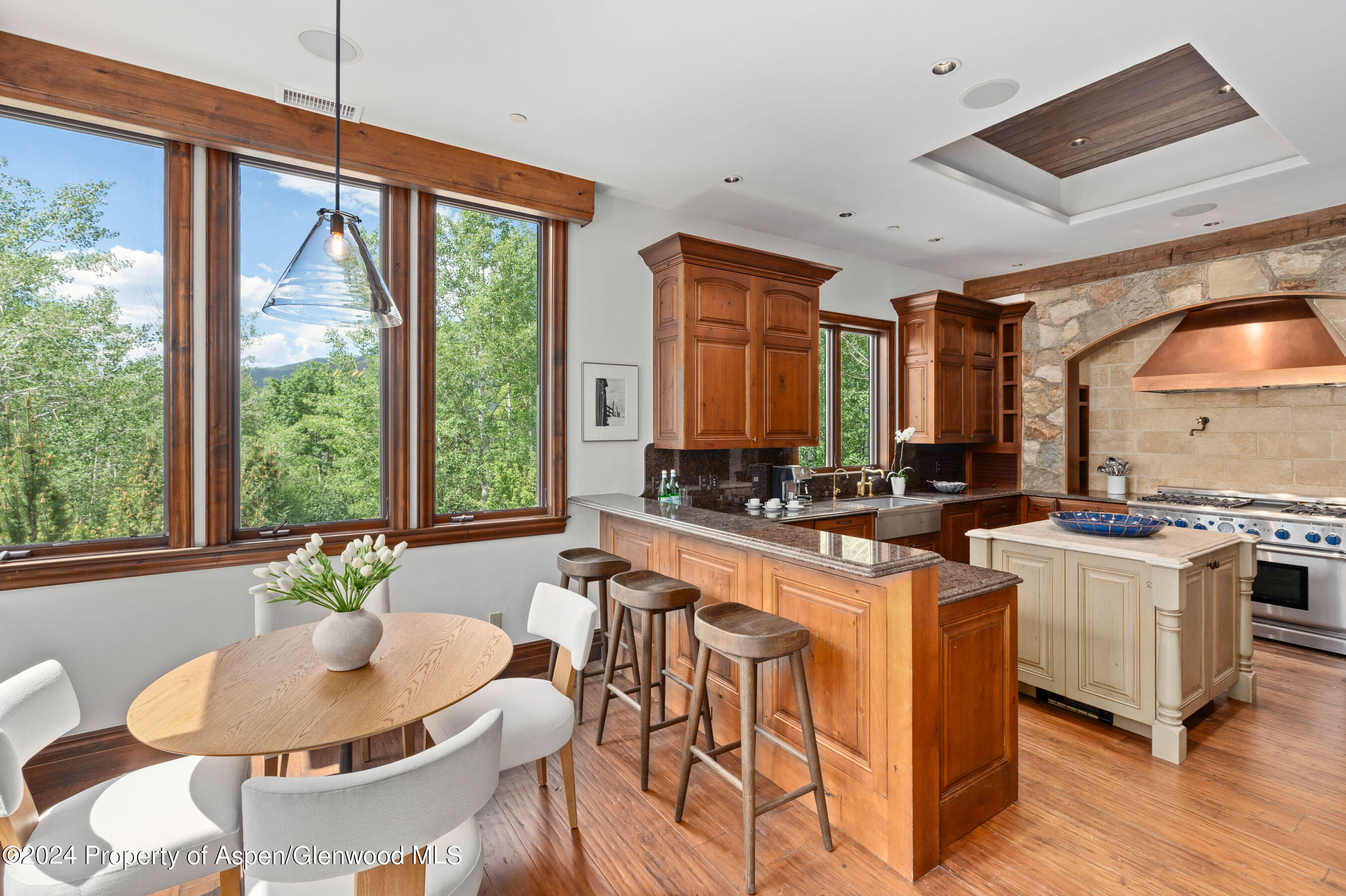 189 McSkimming Road Aspen, CO 81611 - Photo 7 of 37 Gracious Kitchen