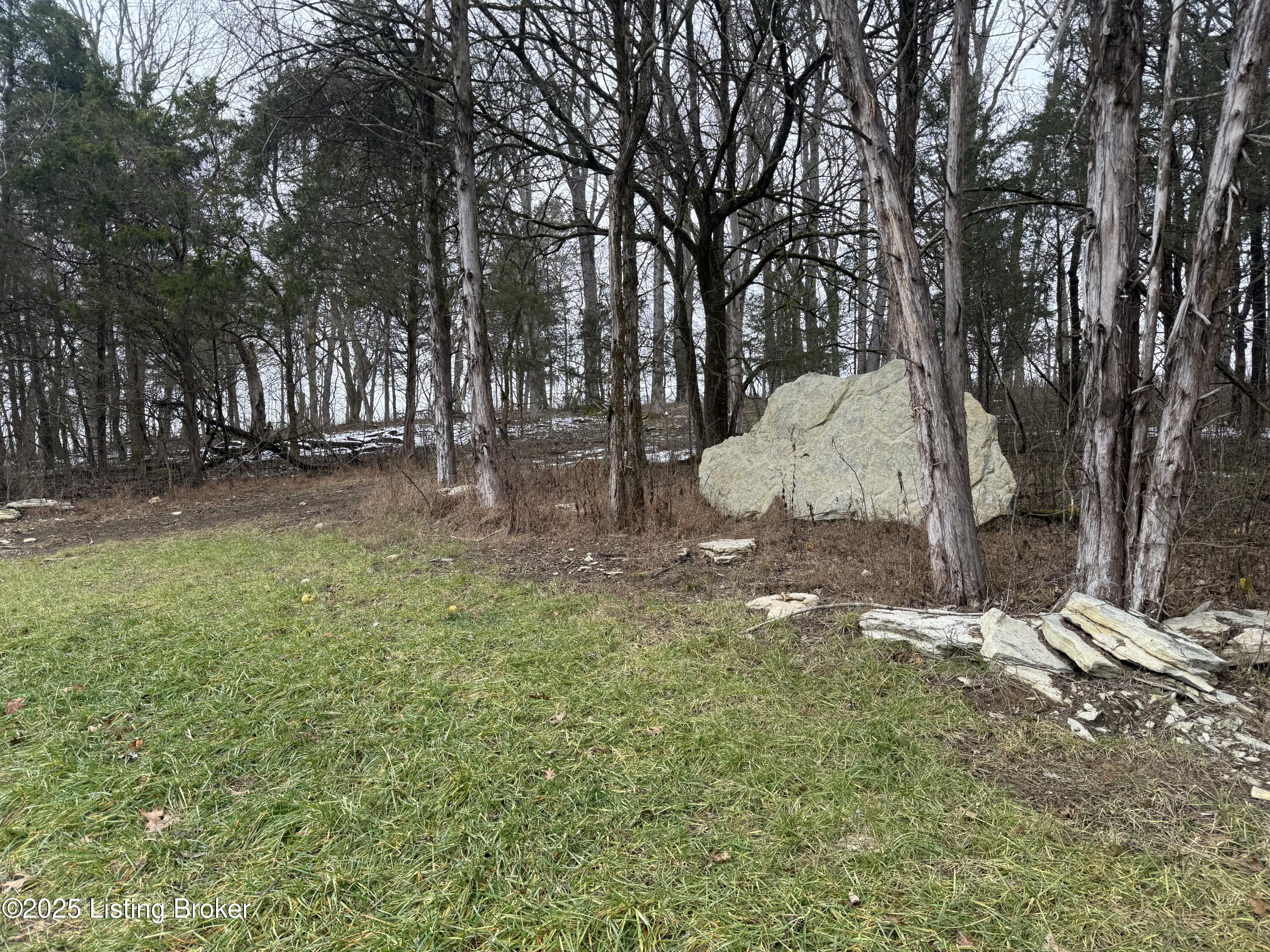 2405 Croake Station Road Springfield, KY 40069 - Photo 72 of 72 IMG_7734