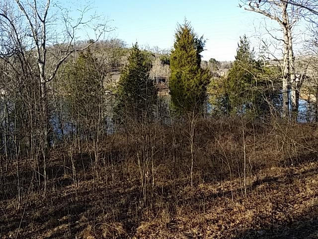 0 Nancy Point Road, Unit 3 Spring City, TN 37381 - Photo 8 of 11 8