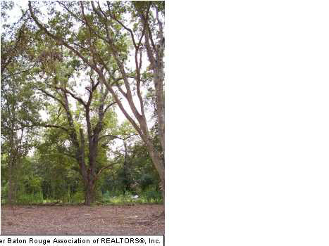11 Rue Riviere Drive Port Allen, LA 70767 - Photo 6 of 8 Gallery Image 6