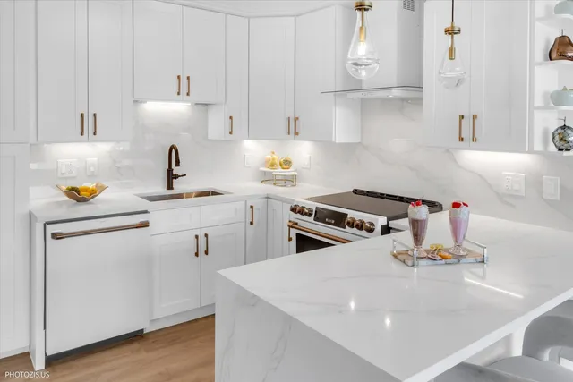 $339,900 | 336 West Wellington Avenue, Unit 1002, Chicago, IL 60657