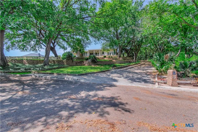 a view of a yard with plants and trees