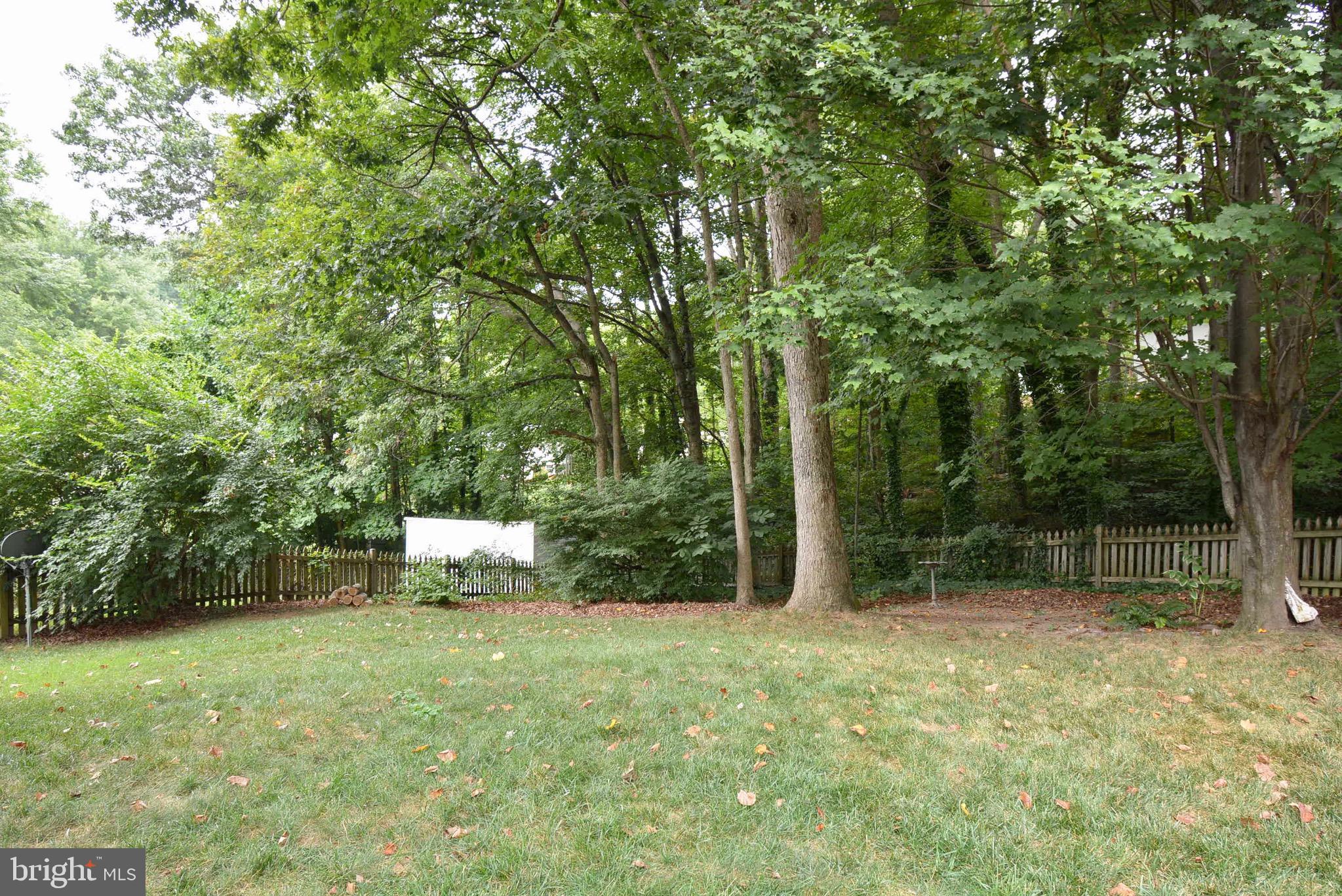 6330 Alberta Street Springfield, VA 22152 - Photo 3 of 50 Gallery Image 3