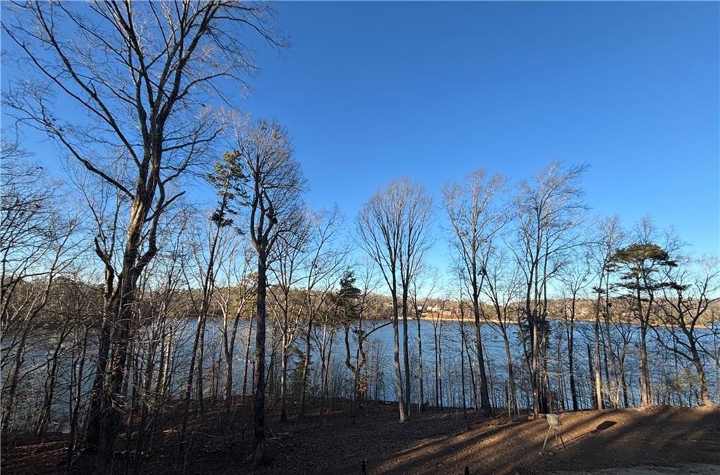 2819 Point Overlook Gainesville, GA 30501 - Photo 61 of 71