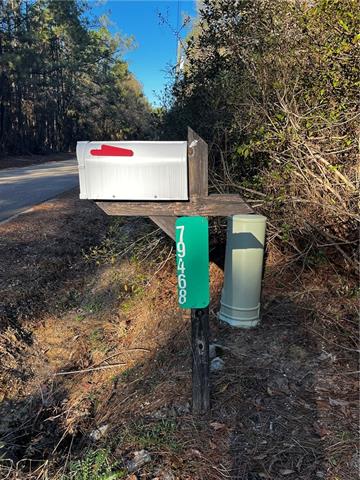79468 Bruhl Road Folsom, LA 70437 - Photo 2 of 8