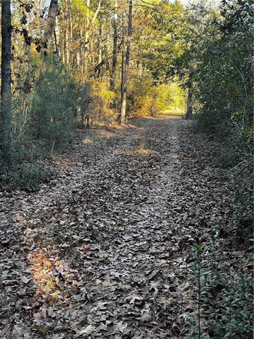 79468 Bruhl Road Folsom, LA 70437 - Photo 3 of 8