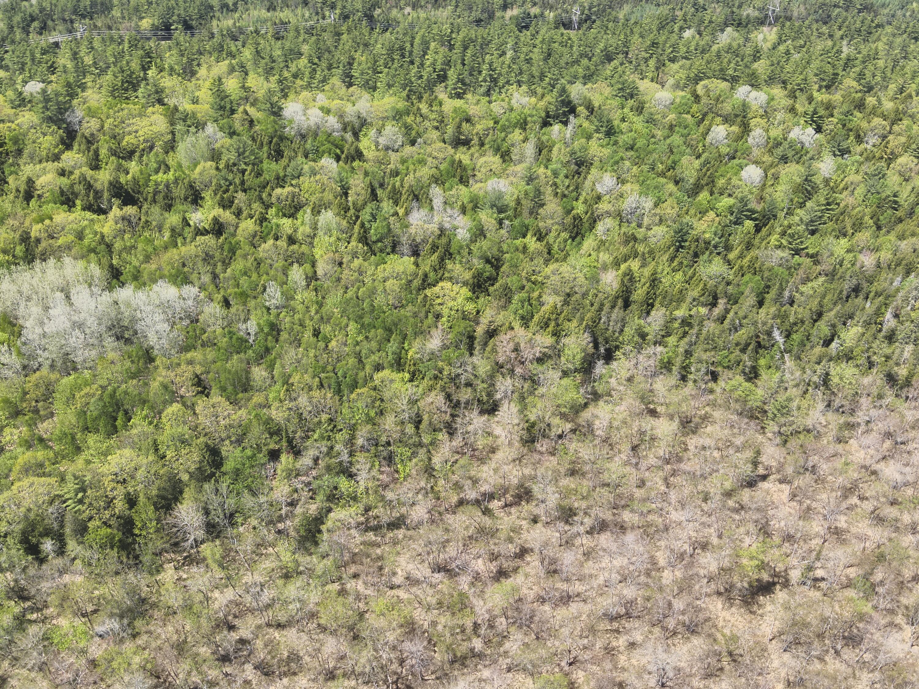 St-john 's Road Passadumkeag, ME 04475 - Photo 7 of 12 DJI_20260523122530_0009_V