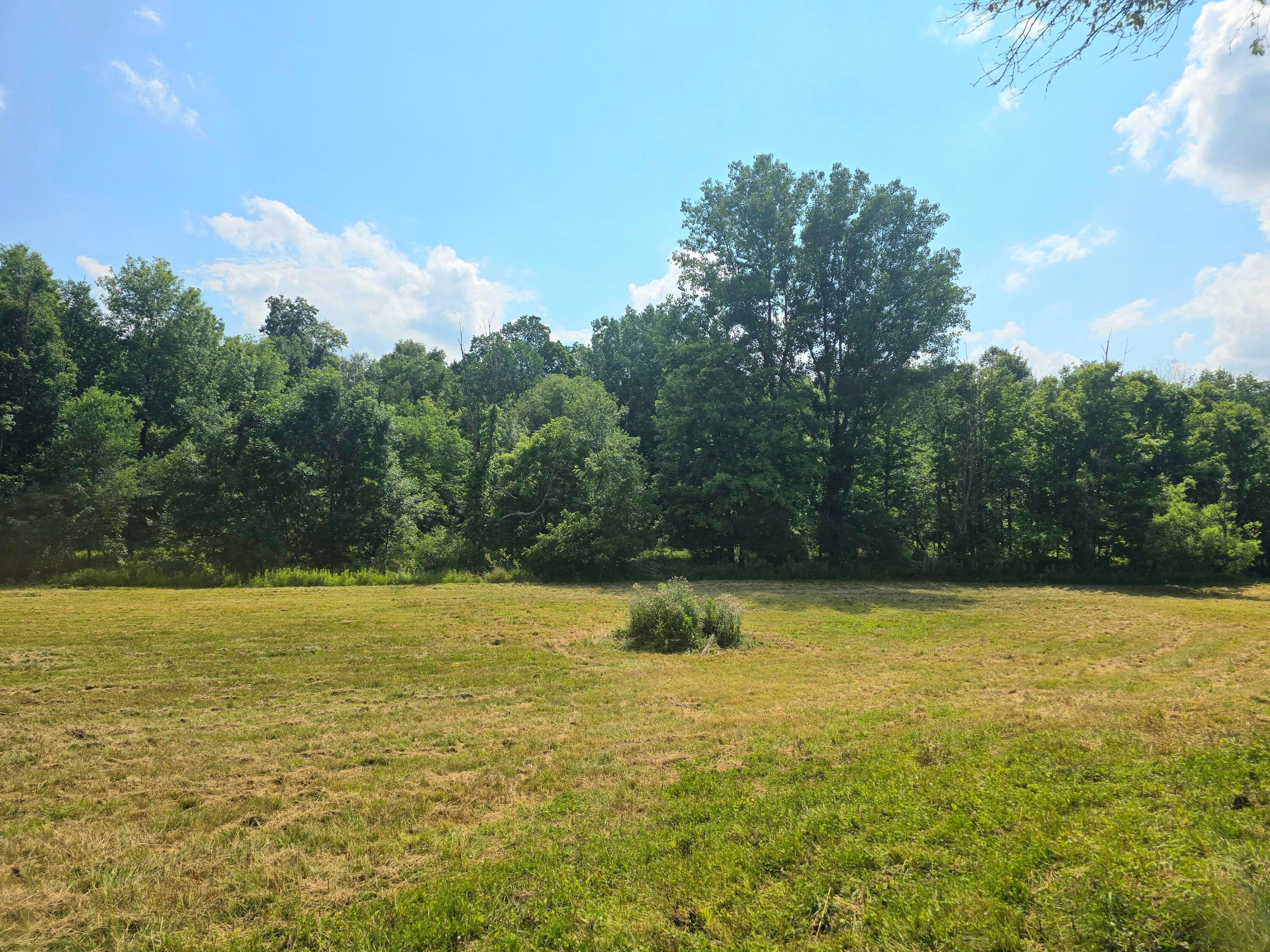 9026 Gregg Road Fredericktown, OH 43019 - Photo 7 of 17 1000062298