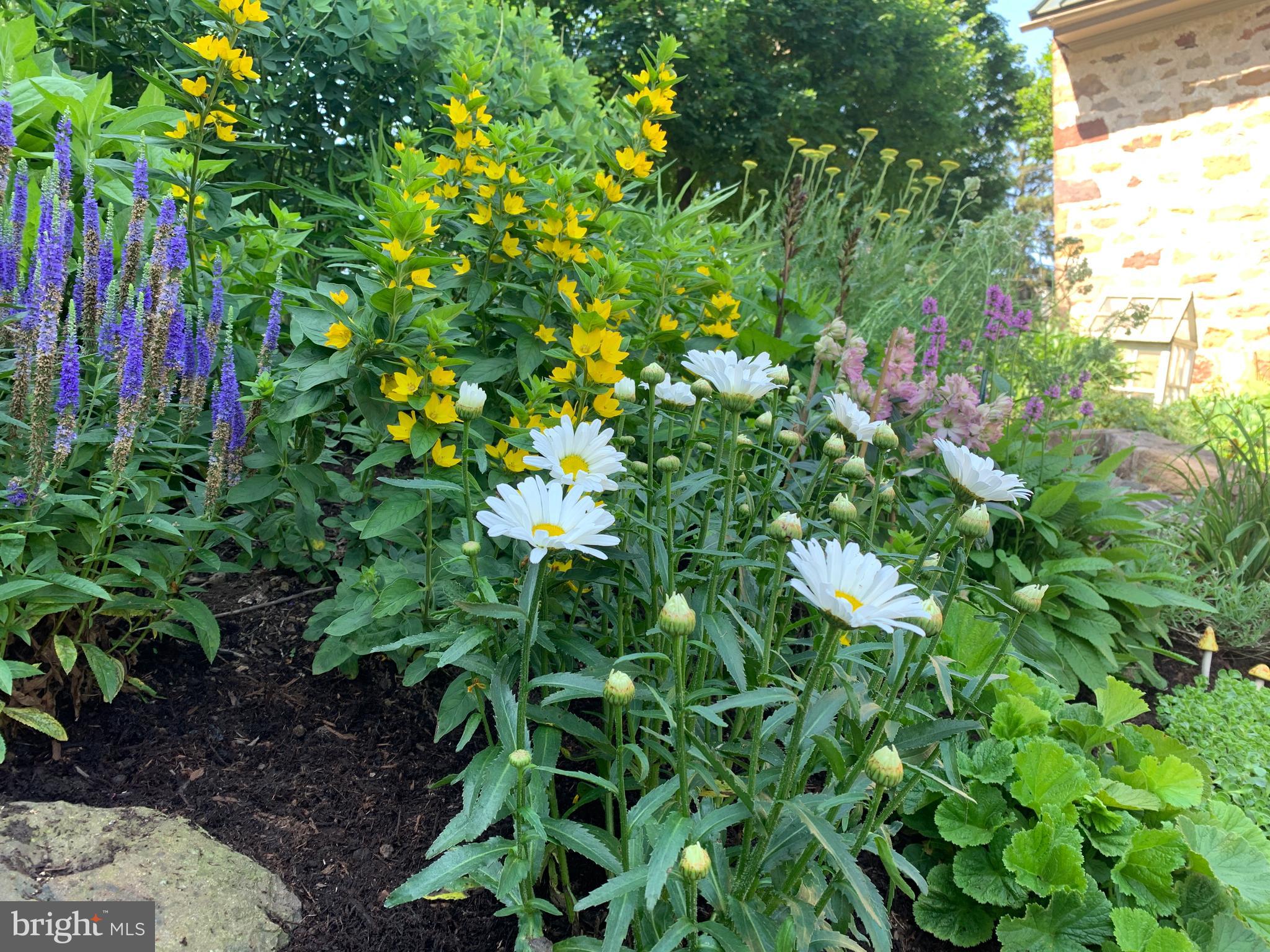 335 North Clay Road Lititz, PA 17543 - Photo 136 of 150