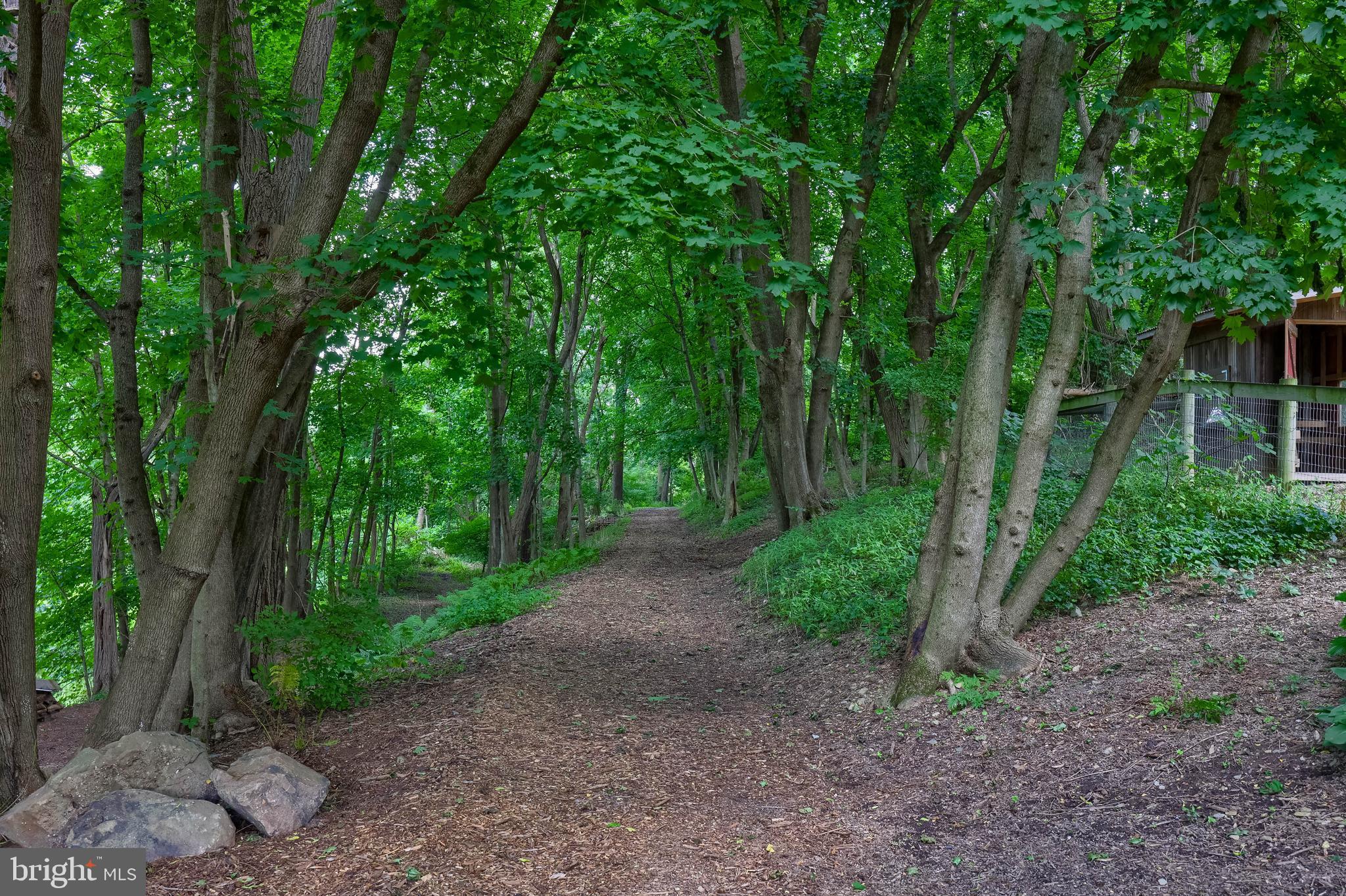 335 North Clay Road Lititz, PA 17543 - Photo 25 of 150 a view of a forest with trees in the background