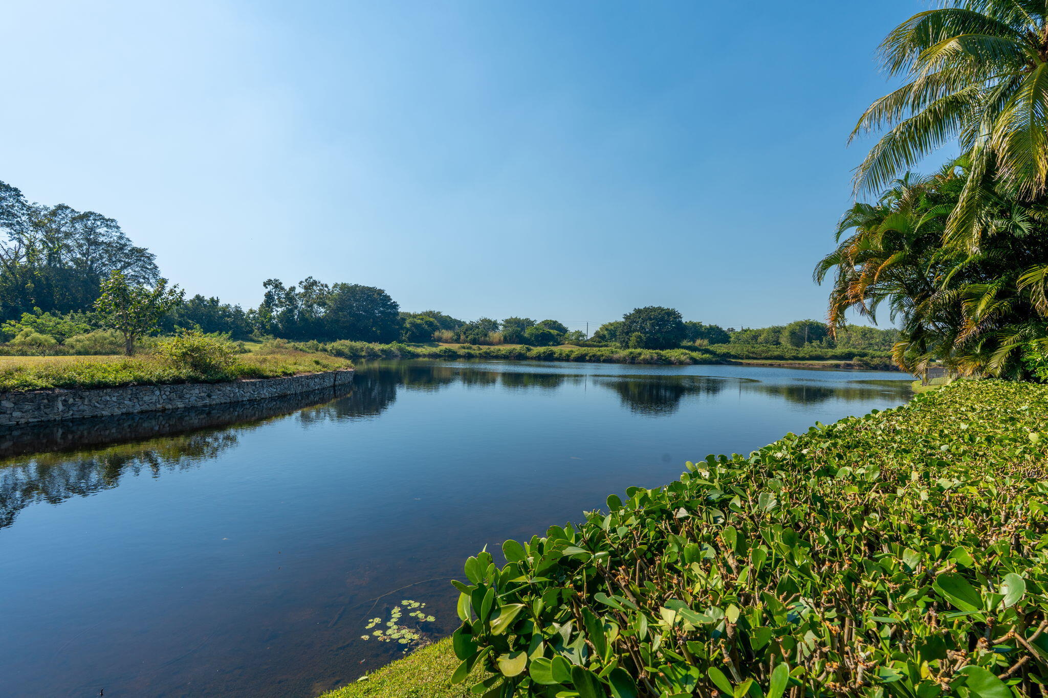 2971 Bent Cypress Road Wellington, FL 33414 - Photo 63 of 88 86-web-or-mls-A7400864