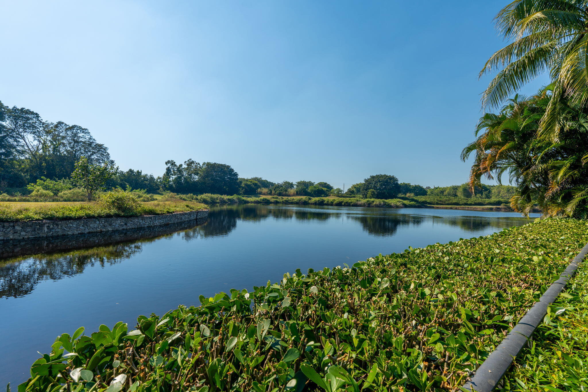 2971 Bent Cypress Road Wellington, FL 33414 - Photo 64 of 88 85-web-or-mls-A7400862