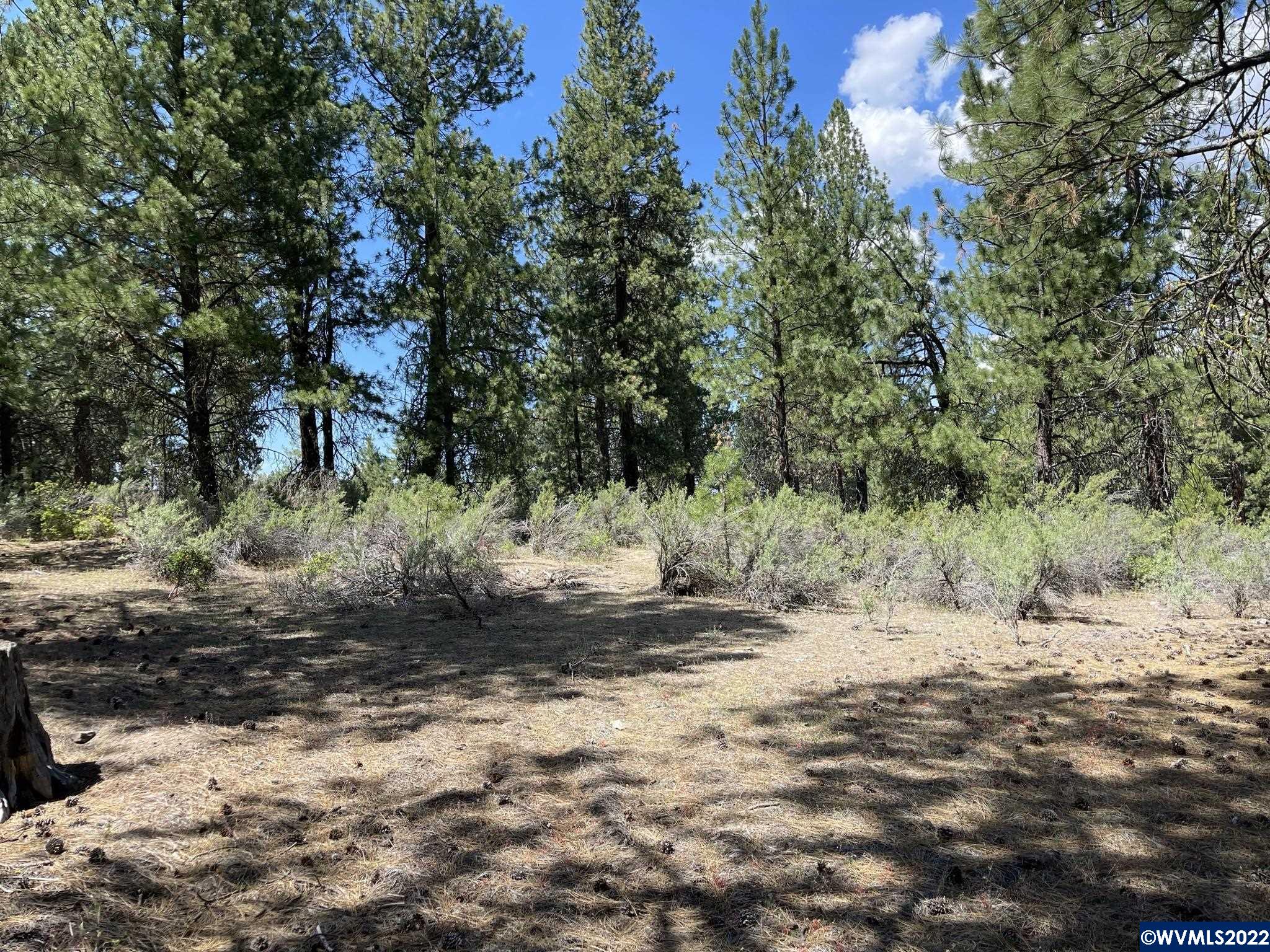 Lot 8 South Waterview Way Chiloquin, OR 97624 - Photo 4 of 10