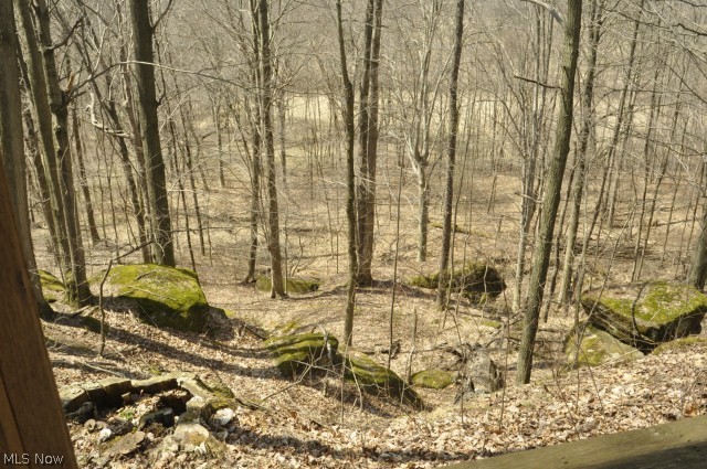 0 Trail Bottom Road Northwest Dundee, OH 44624 - Photo 14 of 22 Gallery Image 14