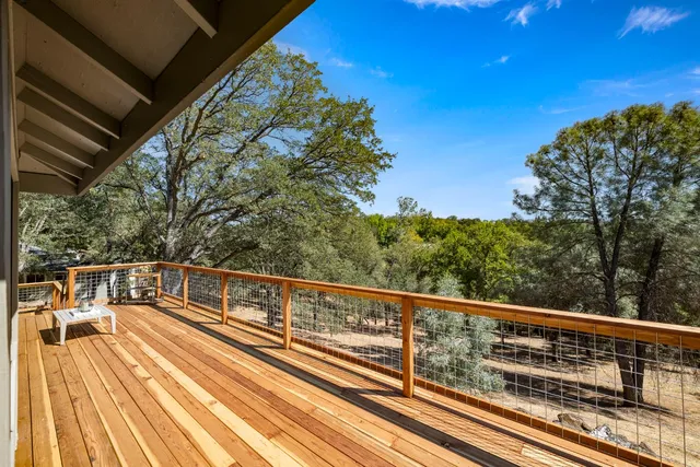 a view of a yard with plants and tree