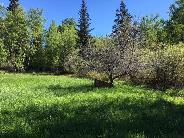214 Hearns Road Trego, MT 59934 - Photo 17 of 22 Gallery Image 17