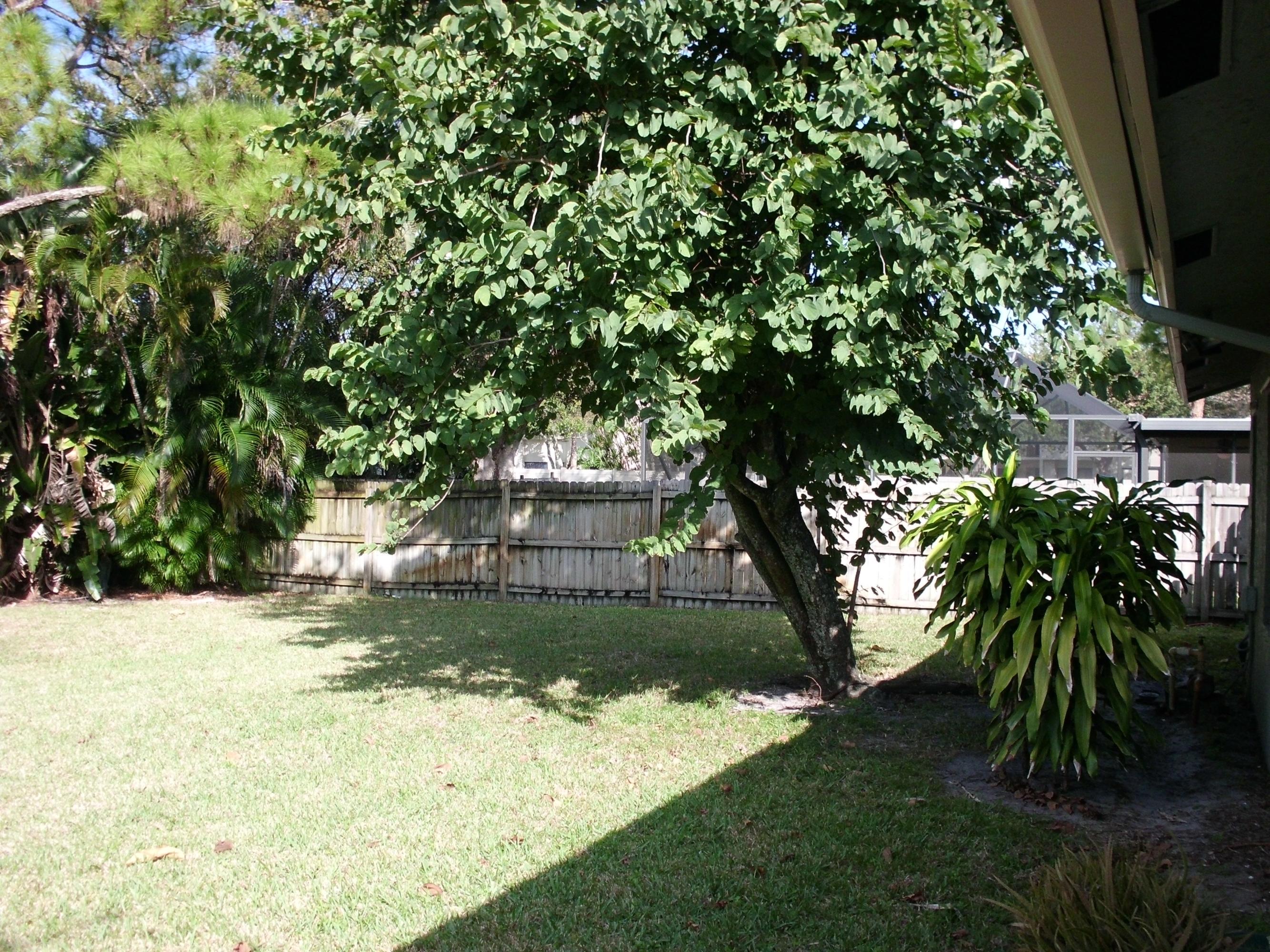 3395 Wry Road Lake Worth, FL 33467 - Photo 18 of 27 Back Yard 2