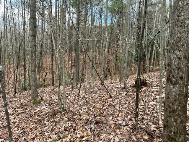 $19,900 | Lot 10 Fisher Valley Road, Dobson, NC 27017