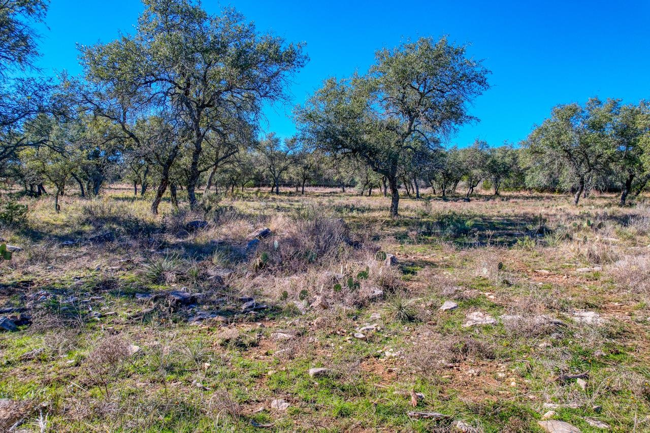415 Longview Lane Cherokee, TX 76832 - Photo 7 of 10 a view of a yard