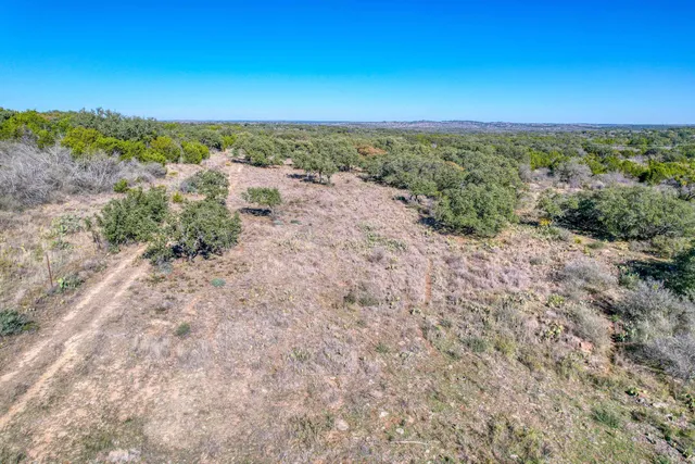 a view of a yard with plants