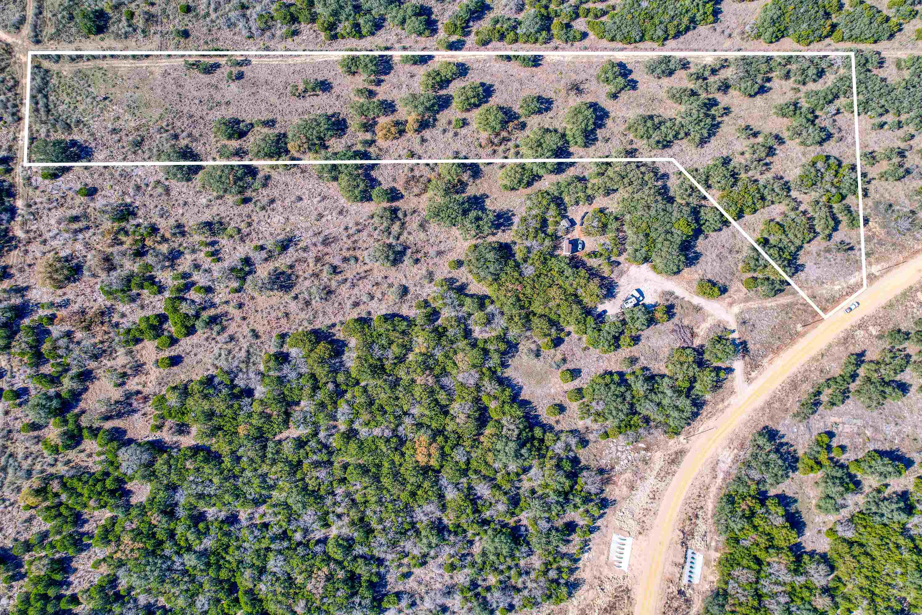 415 Longview Lane Cherokee, TX 76832 - Photo 9 of 10 a view of a yard with plants