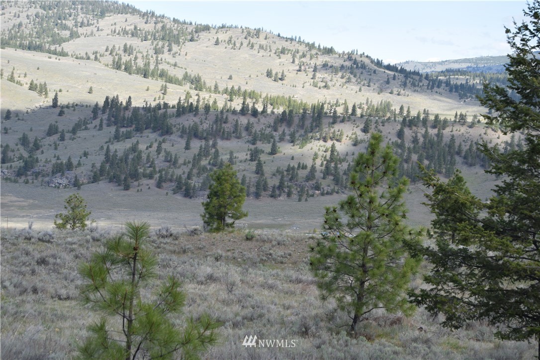 -tbd Badger Road Tonasket, WA 98855 - Photo 14 of 25 Gallery Image 14
