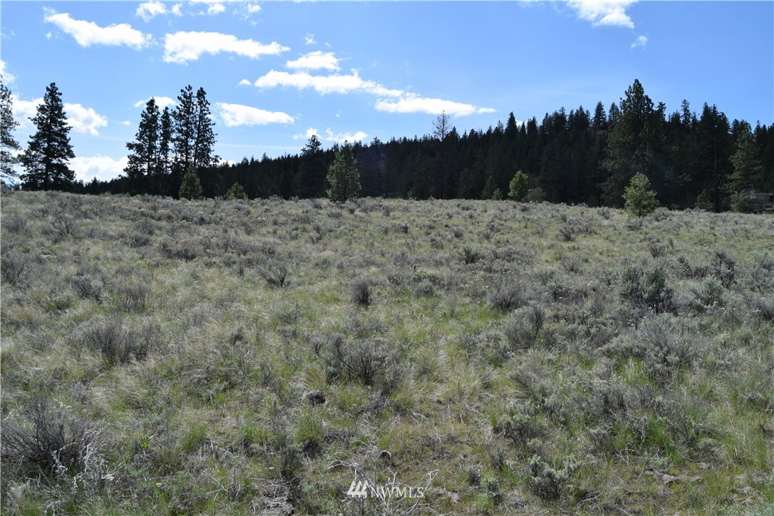 -tbd Badger Road Tonasket, WA 98855 - Photo 22 of 25 Gallery Image 22