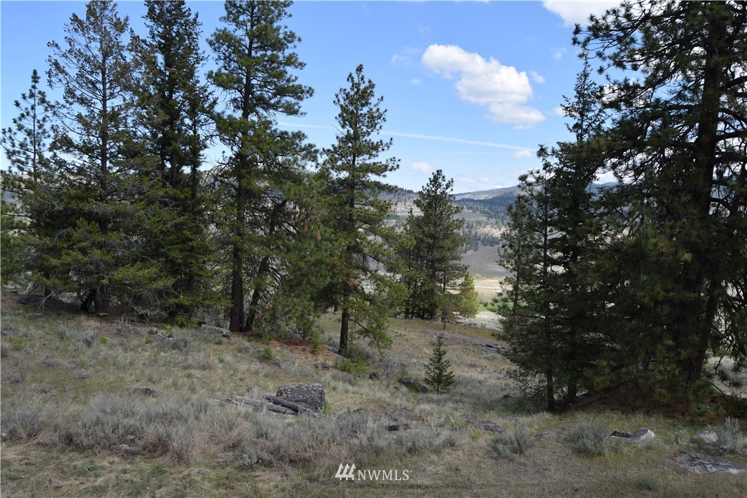 -tbd Badger Road Tonasket, WA 98855 - Photo 8 of 25 Gallery Image 8