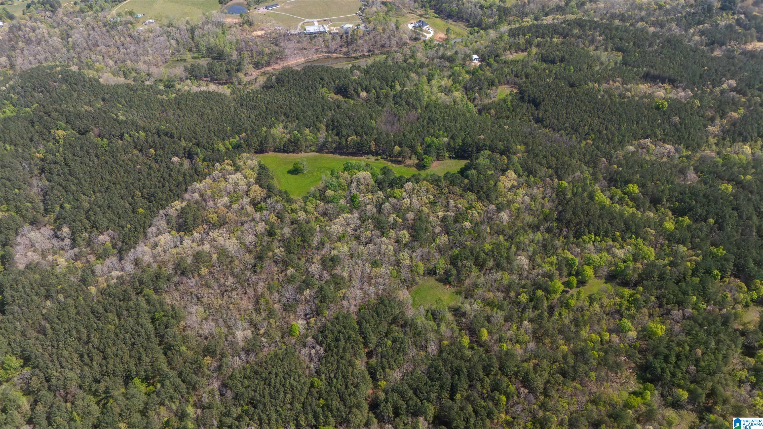 2121 Center Hill Road Trafford, AL 35172 - Photo 49 of 100