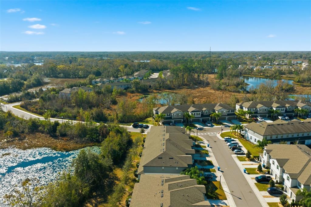 1488 Cassius Street Lutz, FL 33549 - Photo 40 of 41