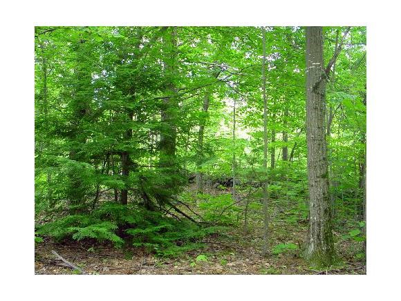 210-012 Mountain Road Lyndeborough, NH 03082 - Photo 1 of 1