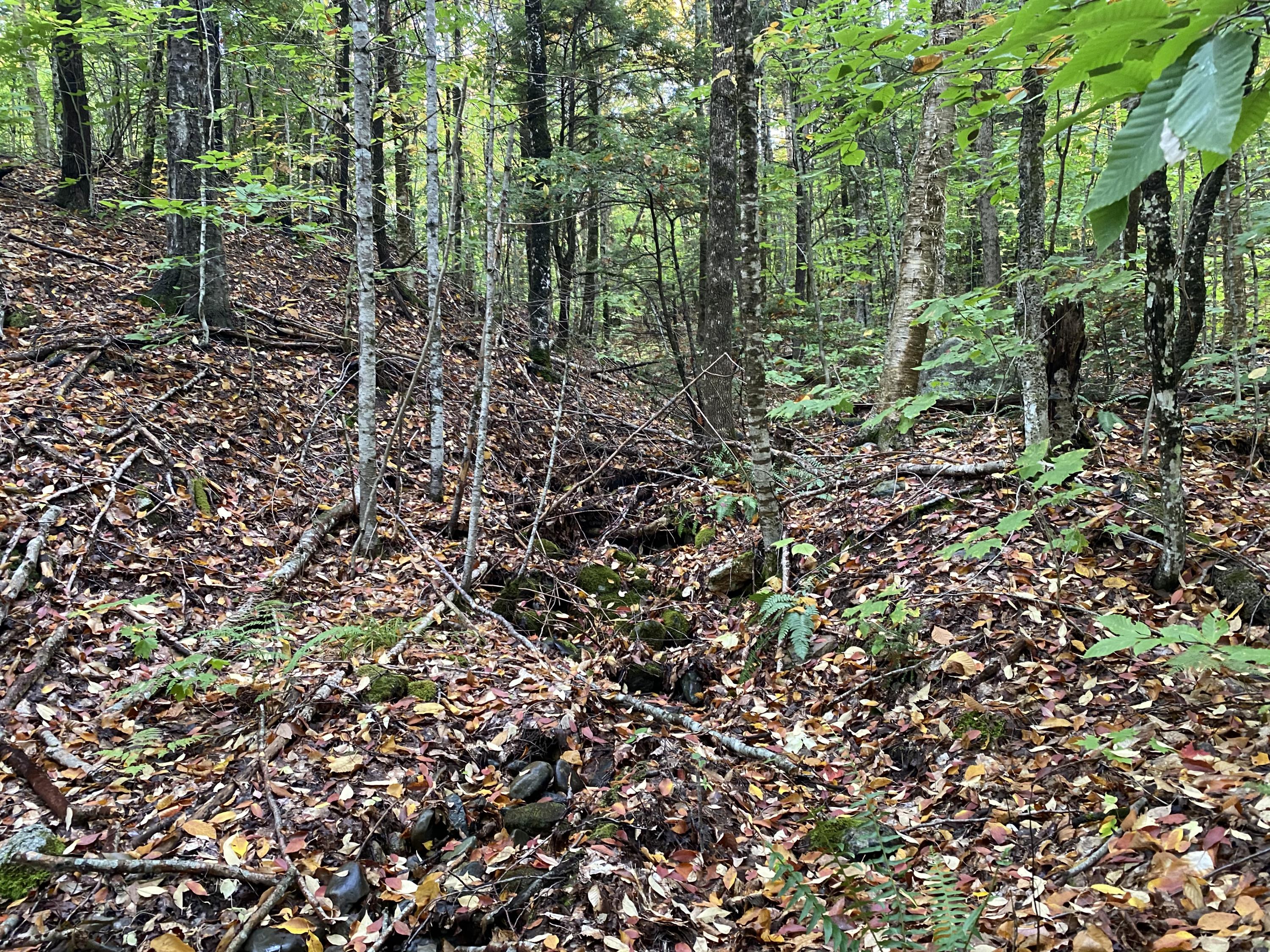 Lot 46 Dill Valley Road Lakeville, ME 04487 - Photo 19 of 38 Photo Sep 29, 11 59 03 AM