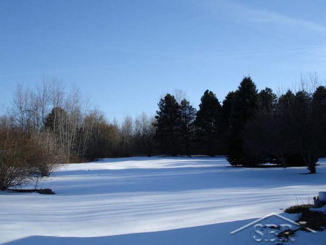 3720 Curtis Road Birch Run, MI 48415 - Photo 1 of 4 20041859.JPG