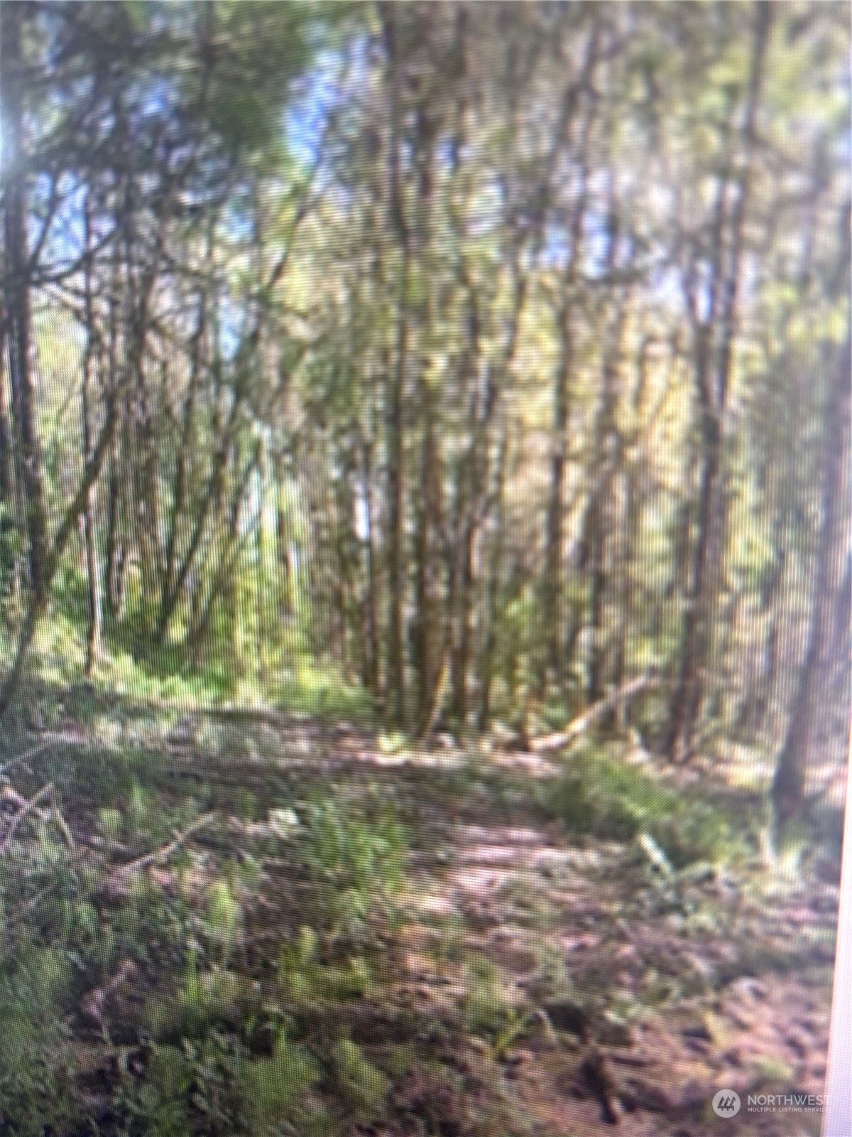 0 Cris Road Kelso, WA 98626 - Photo 1 of 2 Gallery Image 1