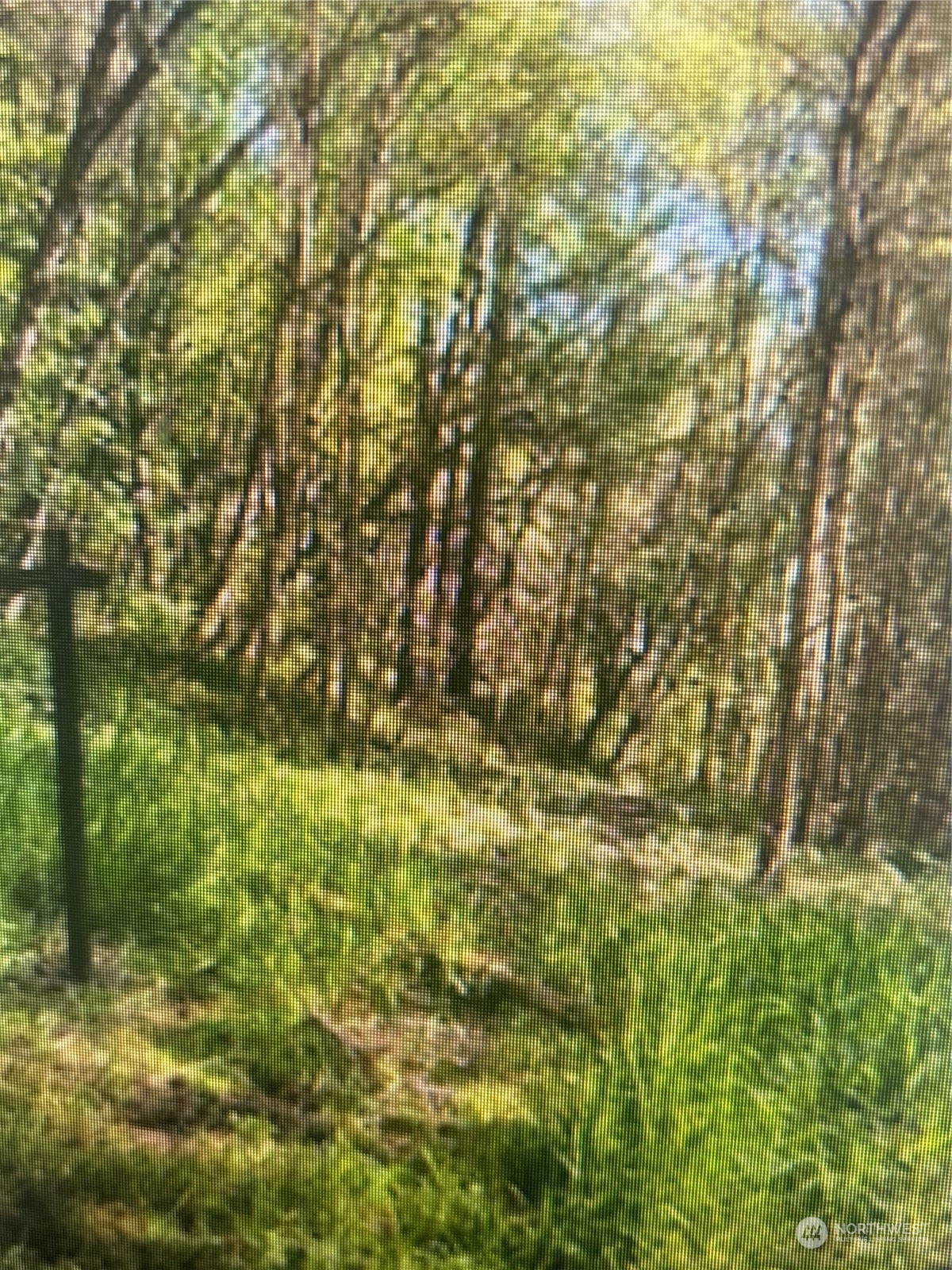 0 Cris Road Kelso, WA 98626 - Photo 2 of 2 Gallery Image 2