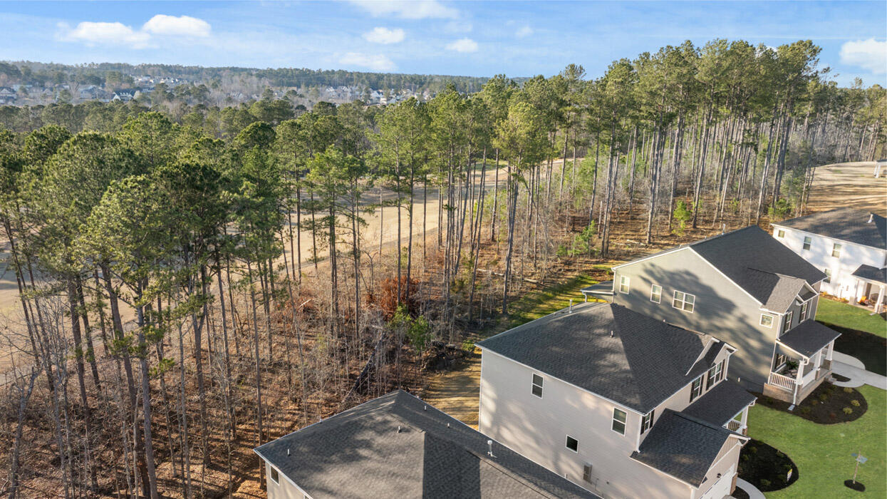 315 Streamsong Road Evans, GA 30809 - Photo 7 of 57 Southwind Village lot 28 The Elle 005