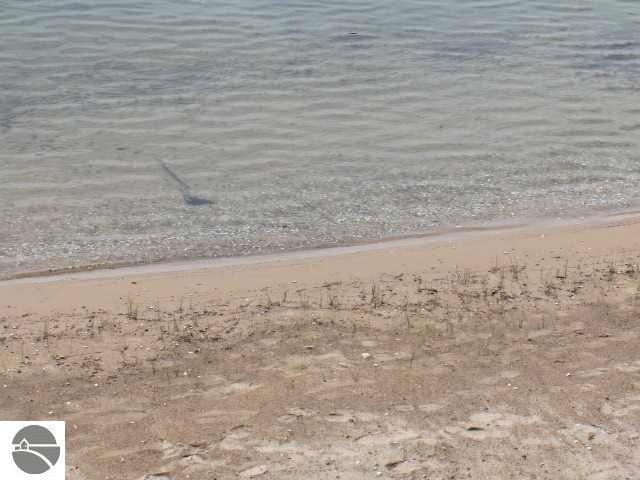 8721 Gedman Road Mancelona, MI 49659 - Photo 3 of 15 1704523-2.JPG