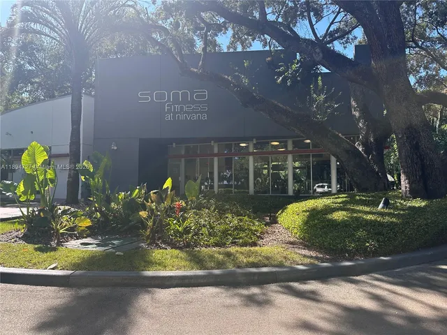 a view of a wooden house with a small yard plants and a large tree