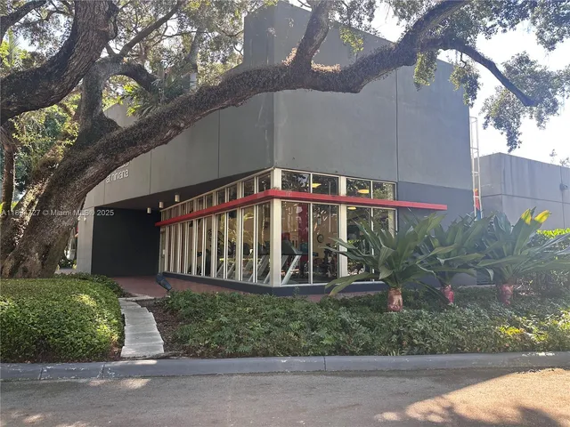 a view of a garden with a tree