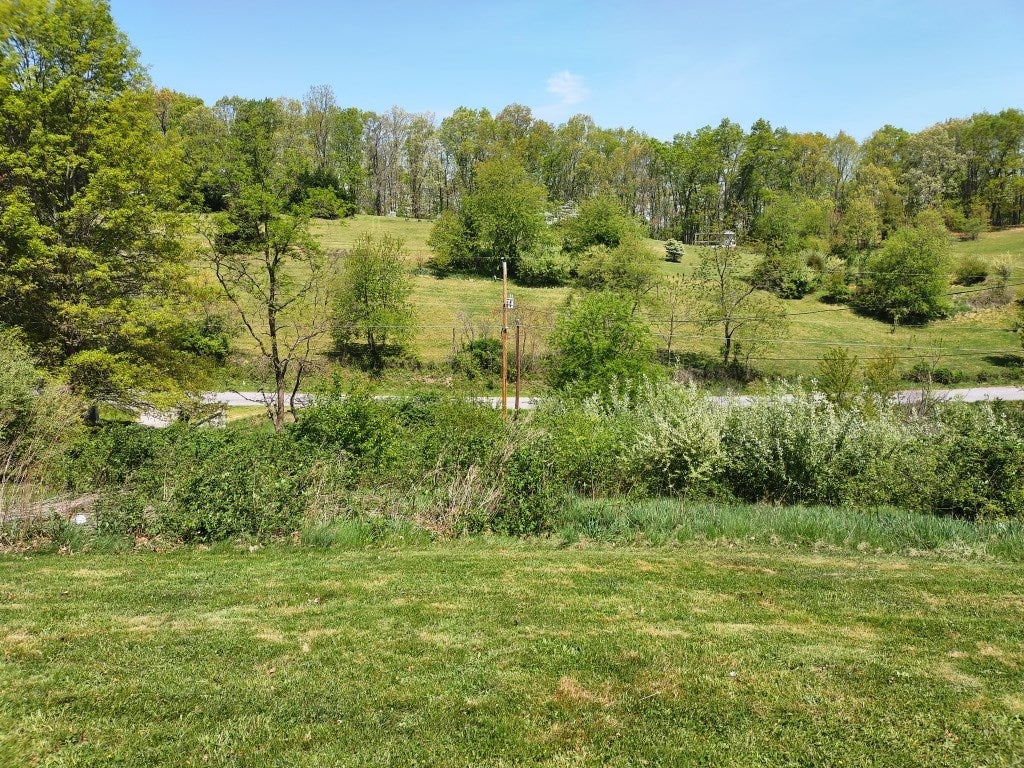 353 Rome Road Max Meadows, VA 24360 - Photo 13 of 21 Gallery Image 13