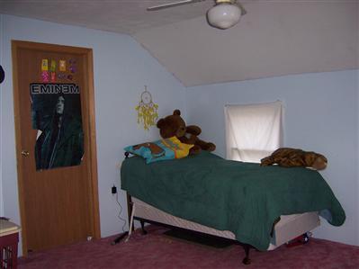 3103 Adams Road Niles, MI 49120 - Photo 11 of 12 Additional Photo