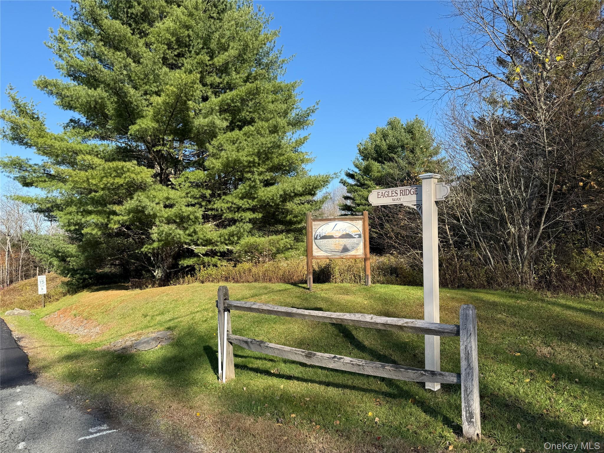 17 Eagles Ridge Way Parksville, NY 12768 - Photo 14 of 15 a view of a park with large trees